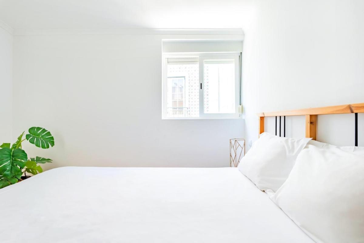 Apartment Sao Jose 2br At Center *